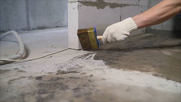 24/7 Emergency Crawl Space Encapsulation experts in Georgetown, KY
